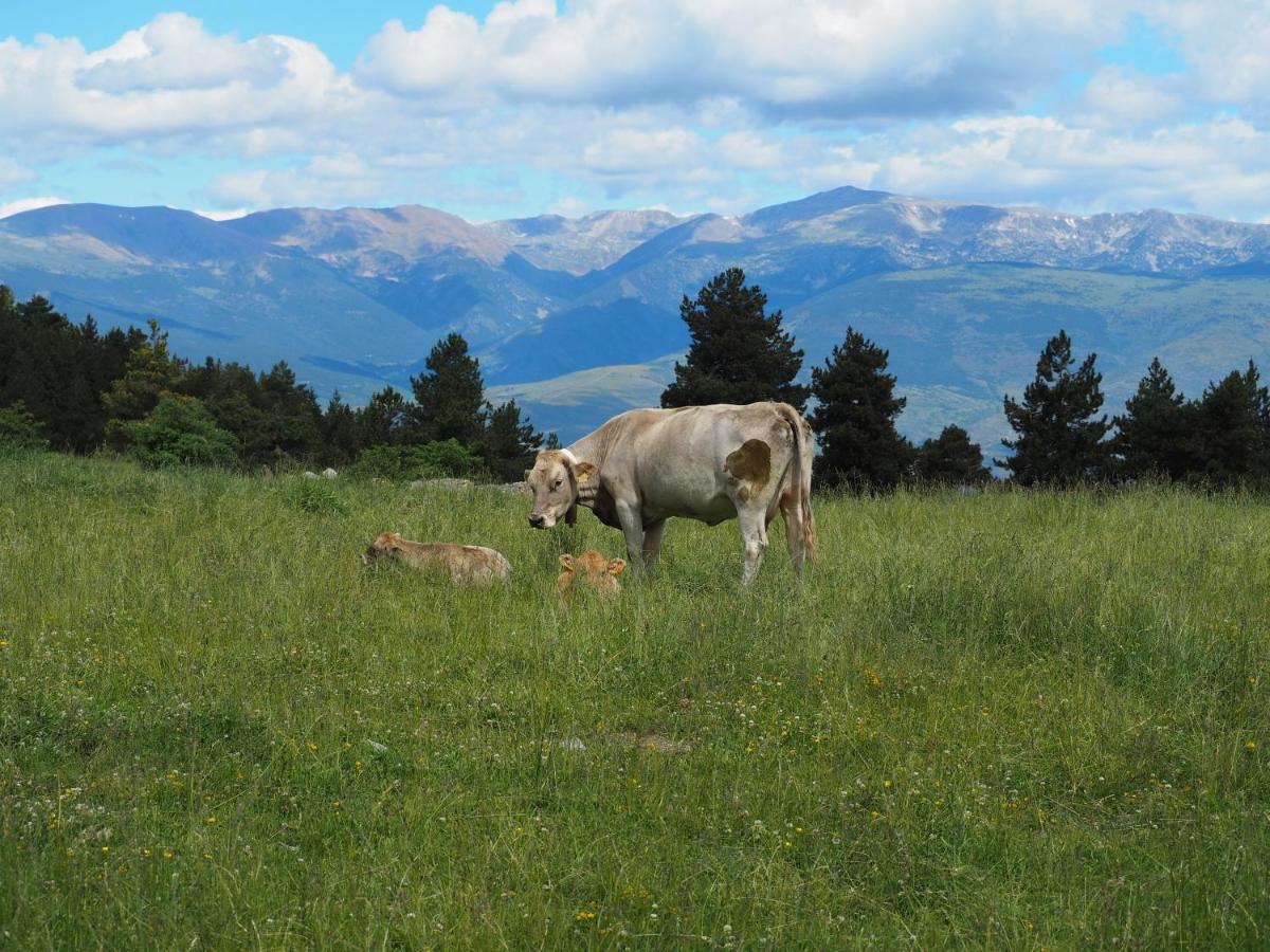 Apartament A La Molina, Grans Vistes, Llar De Foc La Molina  Dış mekan fotoğraf